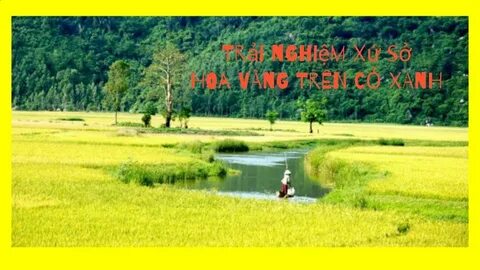 Tiền đạo Brazil lập công, áp sát vị trí số 1 của Tiến Linh_Đào tạo kỹ năng thuyết trình